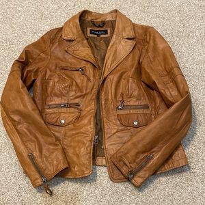 Leather, Black Rivet, saddle, brown jacket .